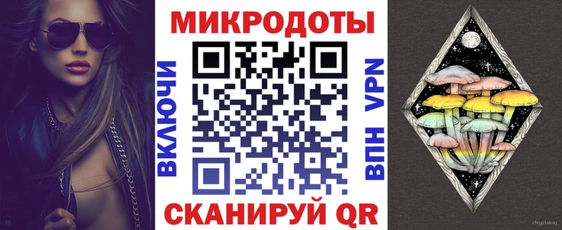Купить закладки  Высоцк  Галлюциногенные грибы Magic Shrooms 